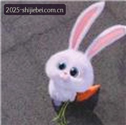 刘阳